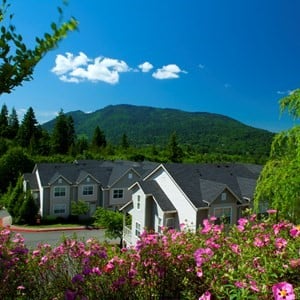 The Timbers at Issaquah Ridge Apartments - Issaquah