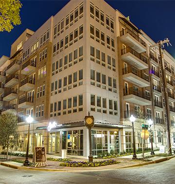 Stella - Dallas, TX