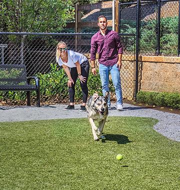 Dog Park Etiquette