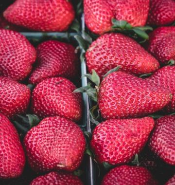 Healthy Summer Habits
