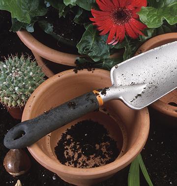 Grow a Garden in Your Apartment