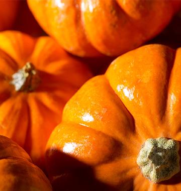 Halloween Safety Tips