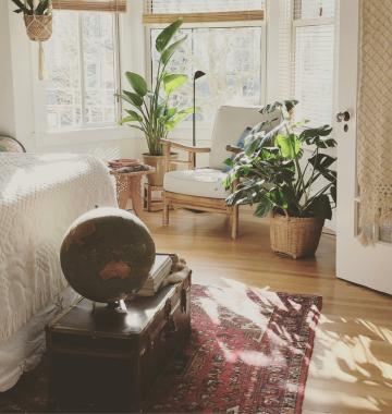 Houseplants - Health Boosters for Apartment Living