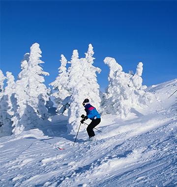 Winter Activities