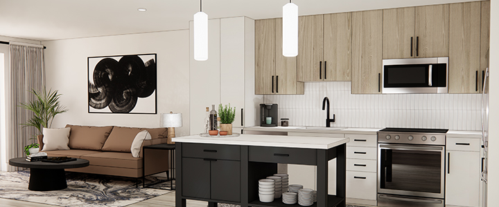 Sincerely, Simpson | Simpson Housing Blog | The Camille Apartments in Bethesda, MA | Kitchen