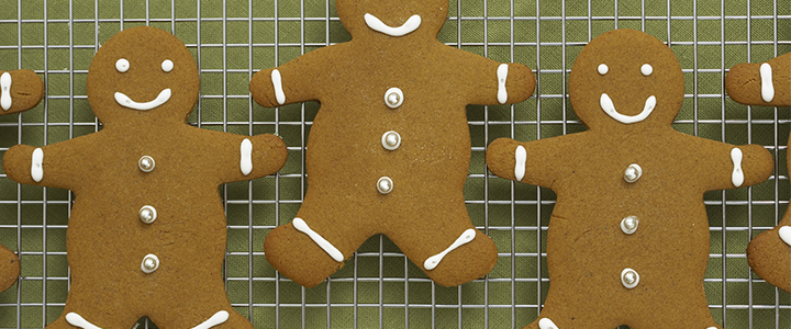 Sincerely Simpson - Holiday cooking and menu ideas - gingerbread