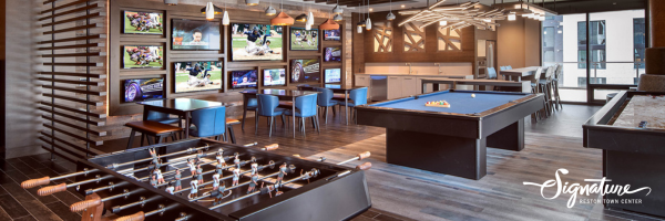 Signature Reston Town Center Apartments in Reston, VA clubhouse