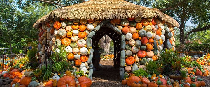 Sincerely, Simpson | Simpson Housing & Simpson Property Group Blog | Pumpkin house