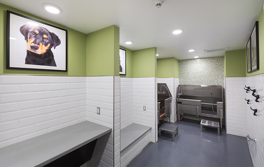 Joule La Floresta Apartments in Brea, CA | Downtown Brea East | Pet Spa