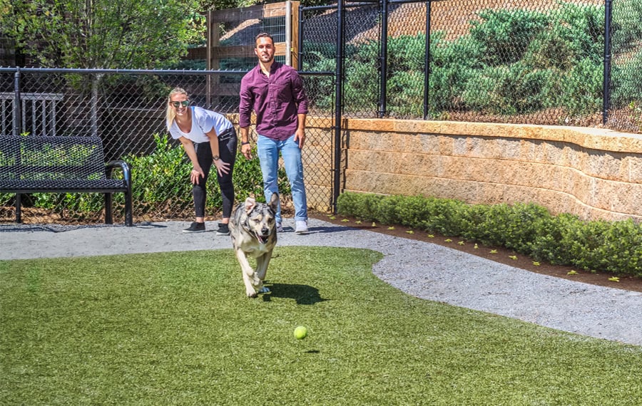 Pet friendly Apartments in Richmond, VA - The Madison - Dog Park