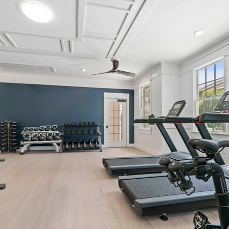 Apartments in Suwanee, GA - Artisan Station Apartments - Fitness Center
