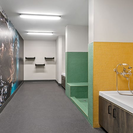Pet-friendly Townhomes in Atlanta, GA - Dog