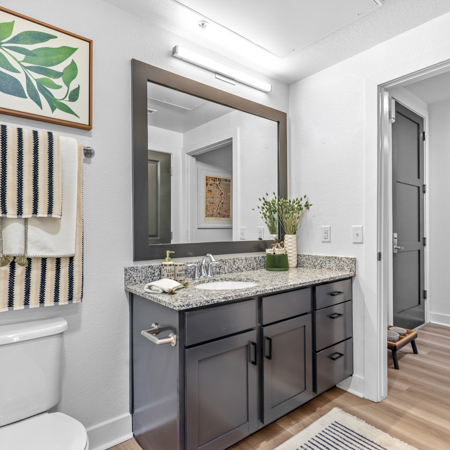 The Battery on Blake Street - apartments in Denver, CO - bath