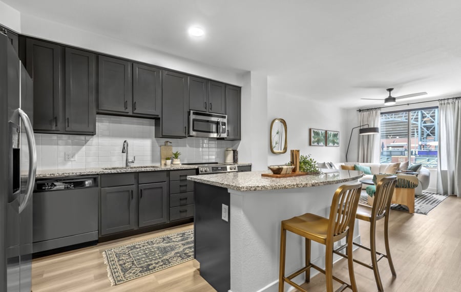 Apartments LoDo - The Battery on Blake Street - Espresso Cabinets