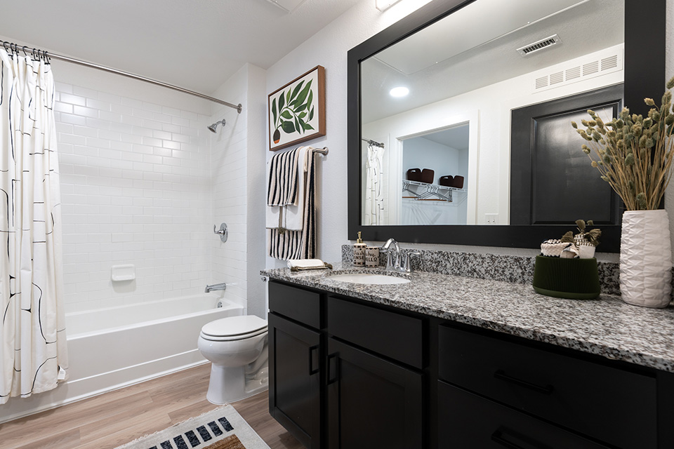 The Battery on Blake Street - apartments in Denver, CO - bath