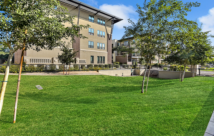 Citrine Apartments - Camelback apartments in Phoenix, AZ - dog park