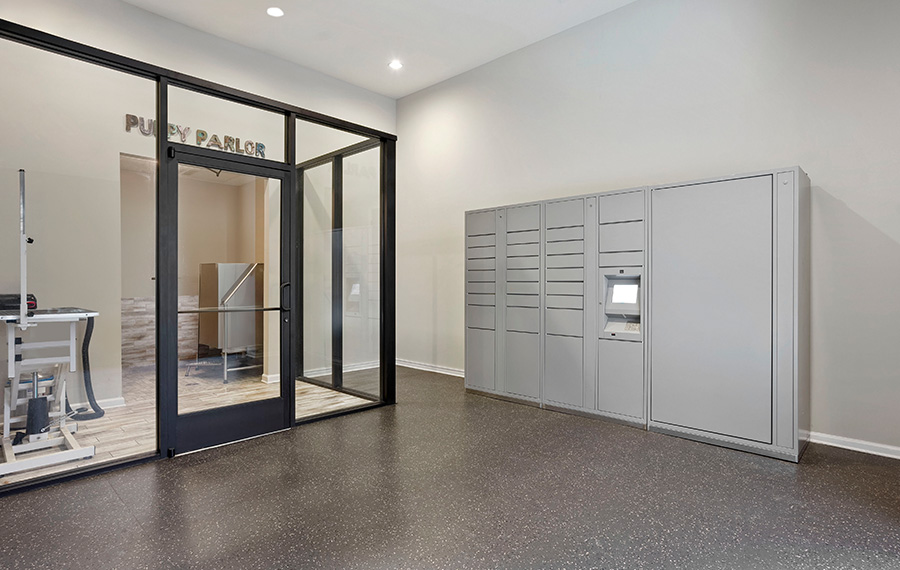 Dwell at McEwen Apartments near Cool Springs - Puppy Parlor