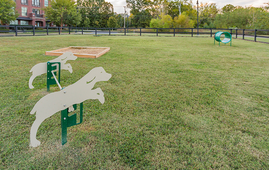 Pet-friendly Apartments in Franklin - Dwell at McEwen