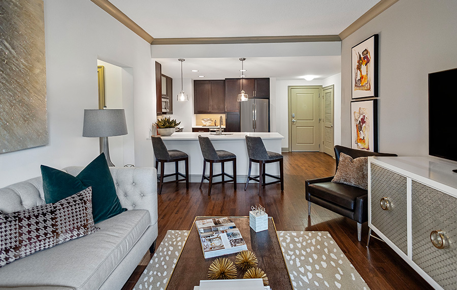Apartment complexes in Charlotte NC near BofA - The Encore SouthPark - living room