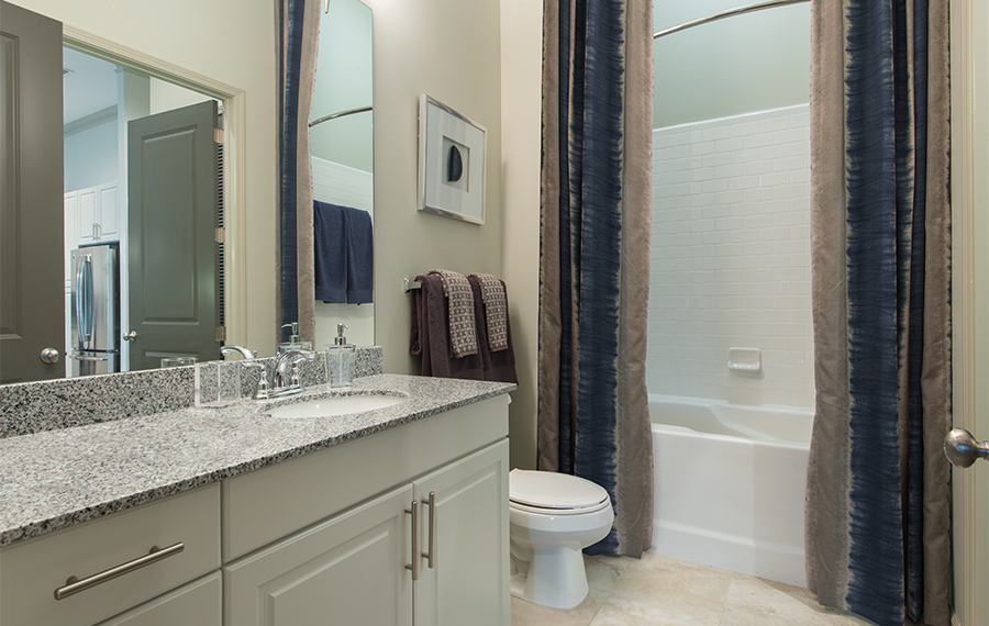 2700 Charlotte Ave Apartments in Nashville - Bathroom