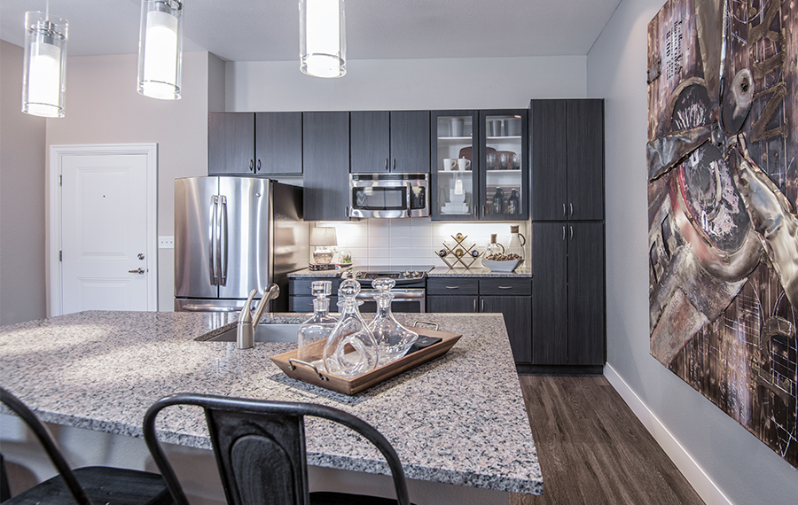 Apartments in RiNo - Denver, CO - kitchen
