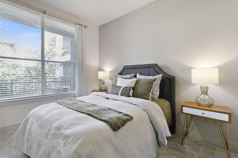 Icon at Ross Apartments - Dallas Texas - Premium Features