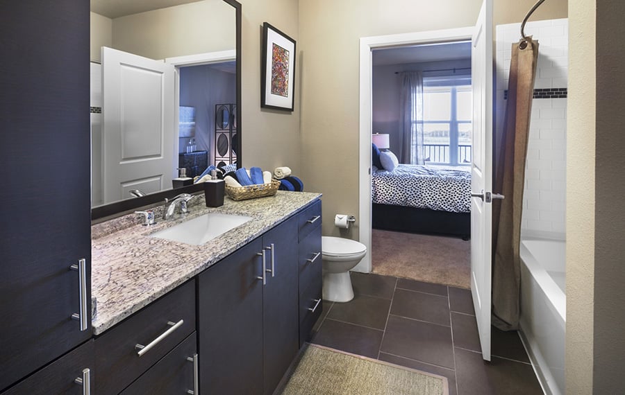Lake Vue Apartments for Rent in Orlando - Bathroom