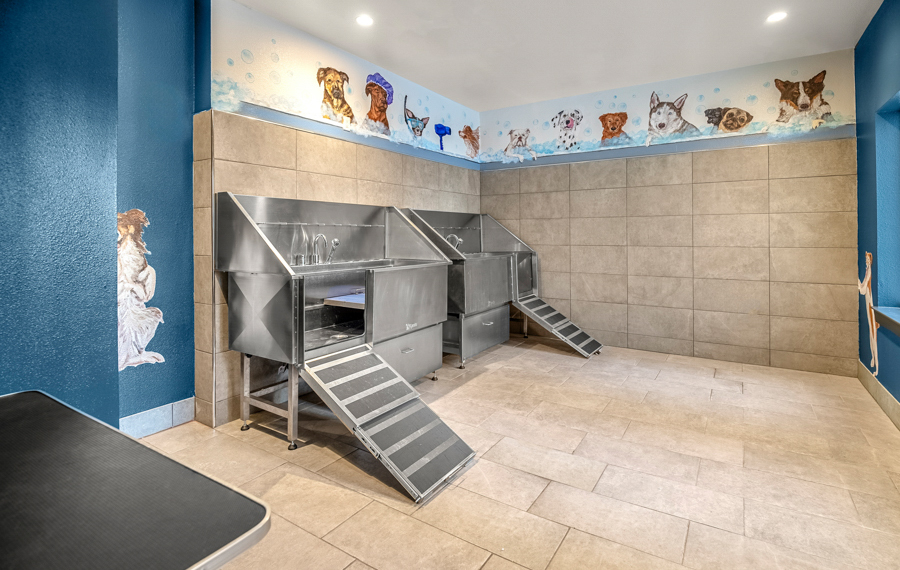 Larq Henderson Apartments - Dallas Texas - Pets