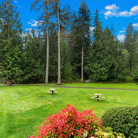 The Lodge at Redmond Ridge - Apartments in Redmond, WA - nearby park