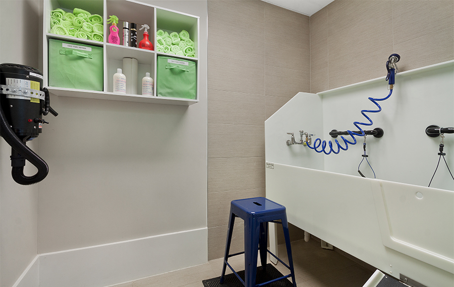Pet Friendly Apartments in Raleigh, NC - Marshall Park - Pet Wash