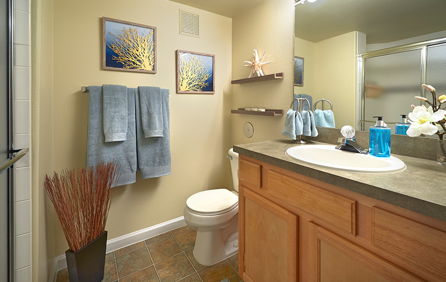Madison Park - Apartments in Thornton, CO - bath