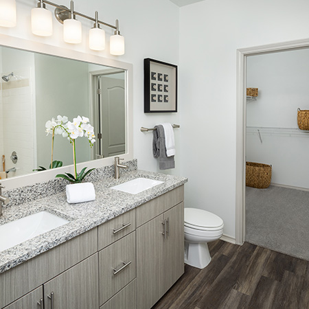 Upgraded Apartments in Richmond, VA - The Madison - Bathroom