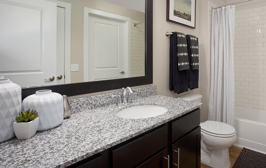 The Battery on Blake Street - apartments in Denver, CO - bath