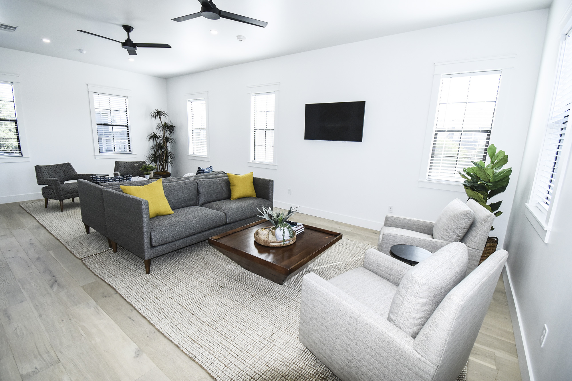 NoA on McNeil Townhomes + Flats - Austin Texas - Lounge