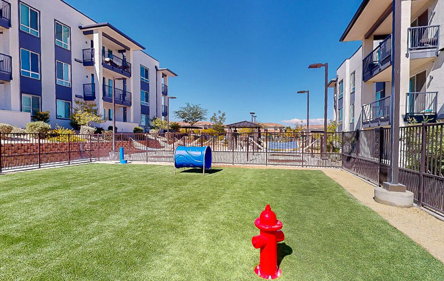 Pace Apartments - Las Vegas, NV apartments with dog park
