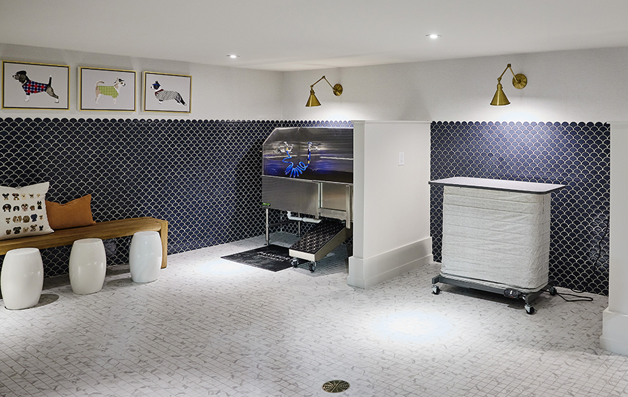 Pet friendly apartments in Herndon, VA - Passport Apartments - Pet Wash