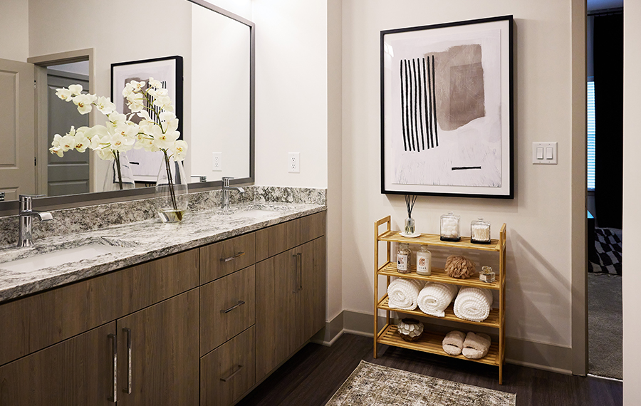Passport Apartments for Rent in Herndon, VA - Bathroom