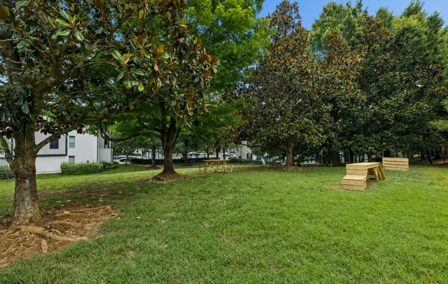 Pet-friendly Apartments in Charlotte - Promenade Park - Dog Park