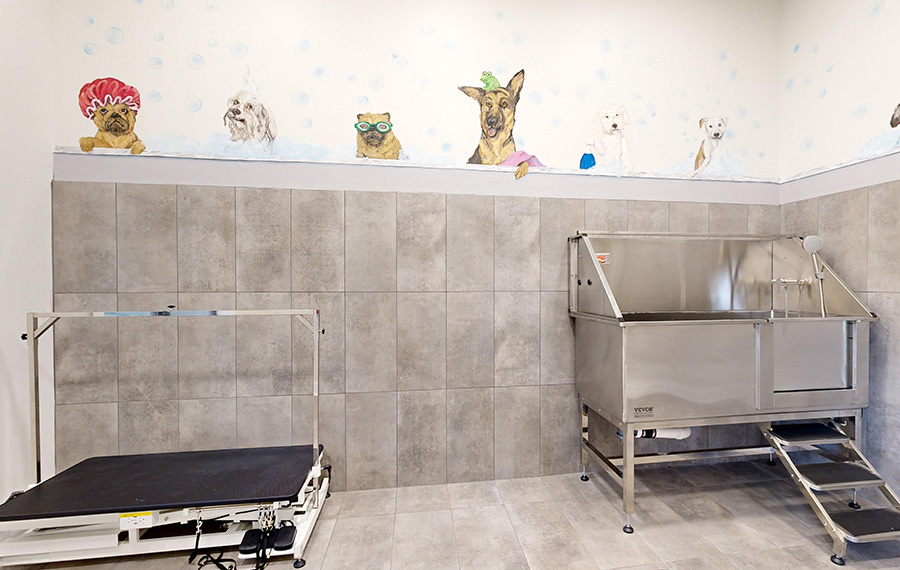 South Austin Apartments for Rent - Ridgeview Apartments - pet spa