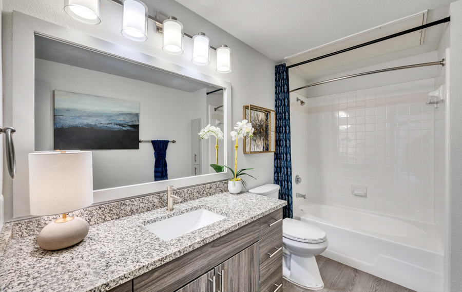 Austin Apartments - Ridgeview Apartments - Bathroom