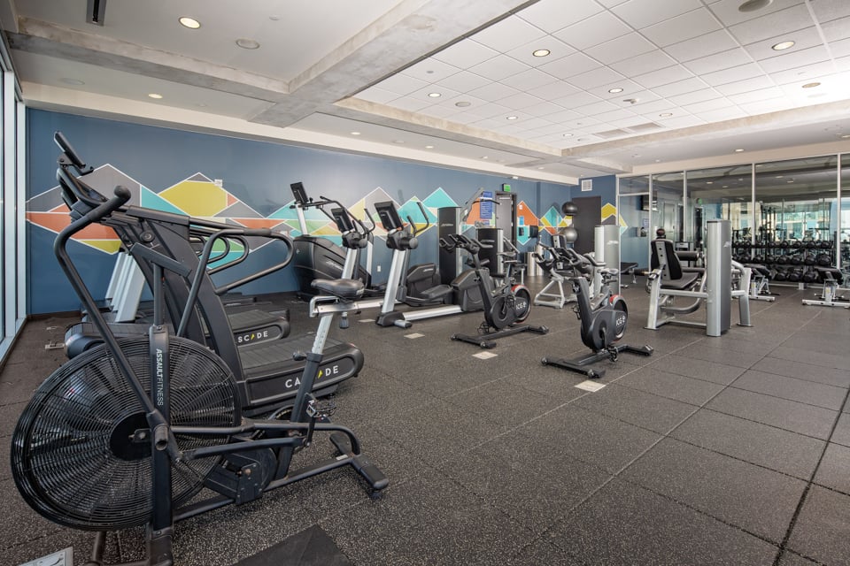 SkyHouse Austin Apartments - Texas - Fitness Center