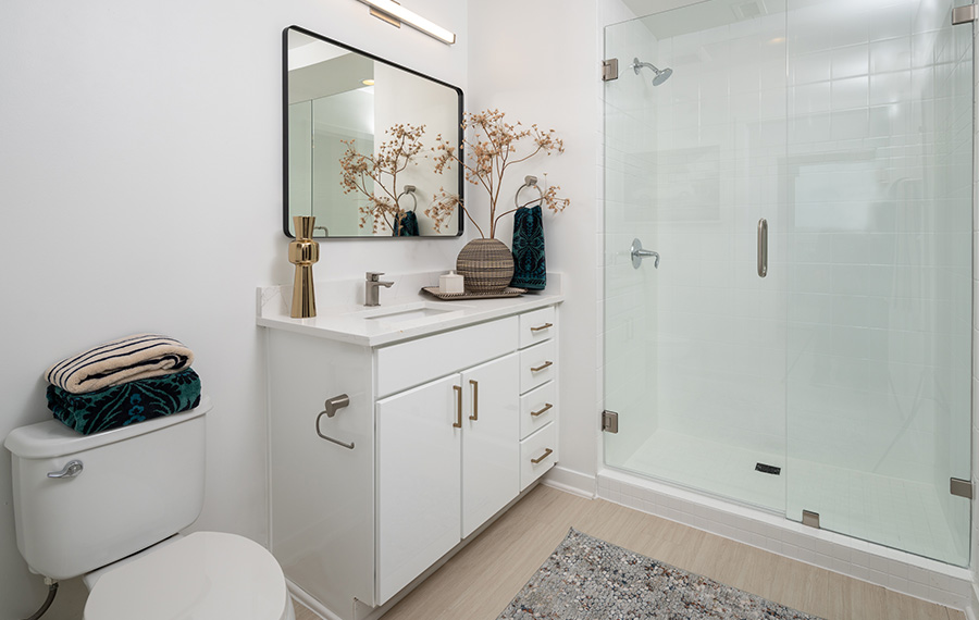 SkyHouse Austin - Austin, TX - bathroom