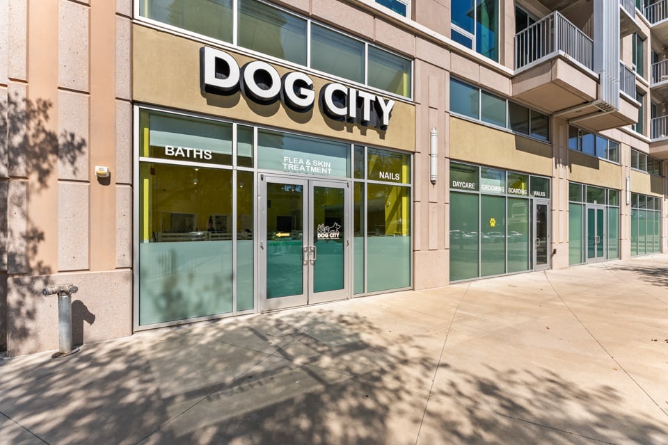 SkyHouse Dallas apartments for rent in Downtown Dallas