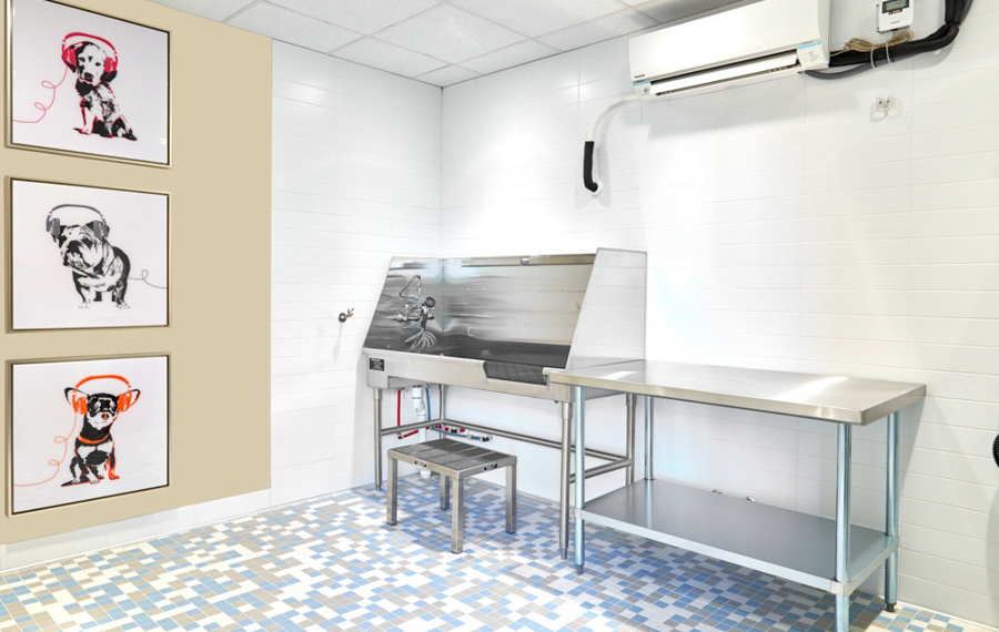 Apartments in Midtown Nashville - SkyHouse Nashville - Dog Park