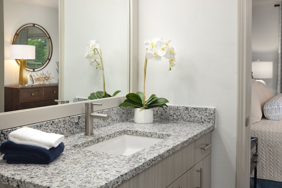 Montelena Apts - Grapevine TX - Bathroom