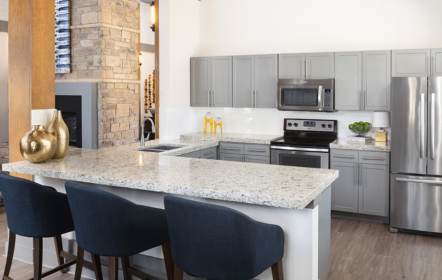 Ridgeview Apartments - South Austin - Clubhouse