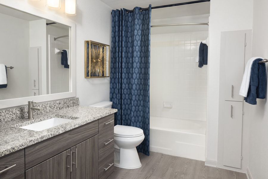 Ridgeview Apartments - South Austin - Bath