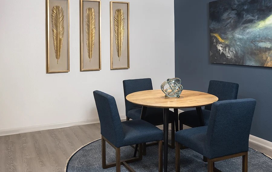 Ridgeview Apartments - Austin Texas - Premium Features