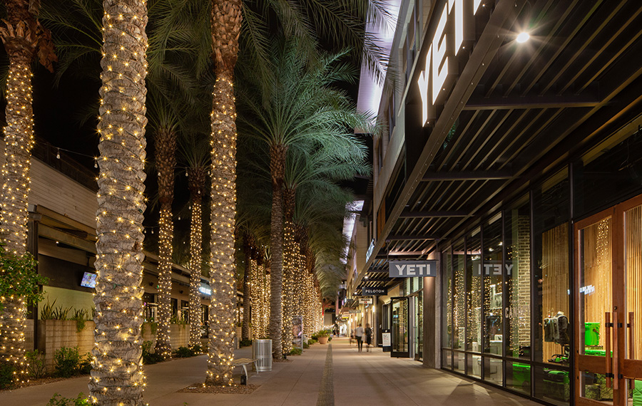 North Scottsdale Apartments - San Carlos - nearby shopping