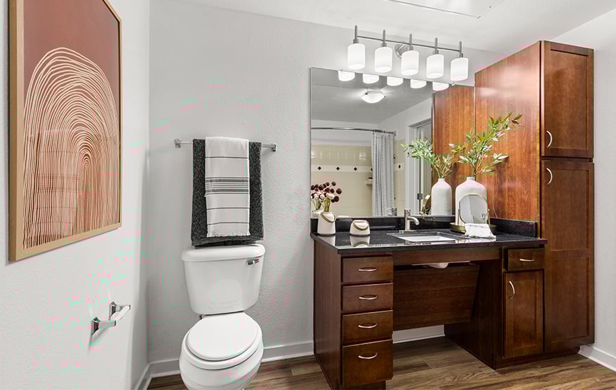 Sanctuary at Tallyn's Reach apartments - aurora, CO - bath